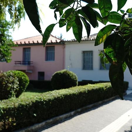 Aggelis Traditional Appartment Sparta Buitenkant foto